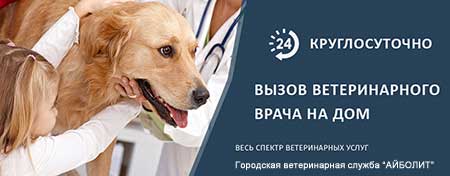 Ветеринарная помощь на дому (ЗАО) Западном Административном округе в районе Кунцево